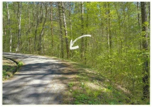 Vacant Land in Iizuna, Nagano with Mountain Views - 1056 sqm - Thumbnail 3