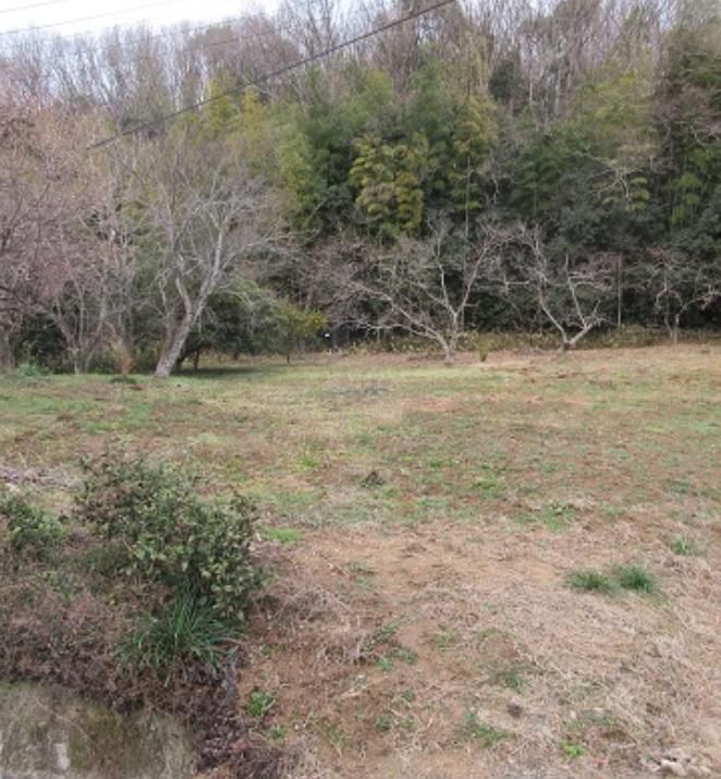 972 sqm Agricultural Land for Sale in Yakage Town, Okayama - Thumbnail 2
