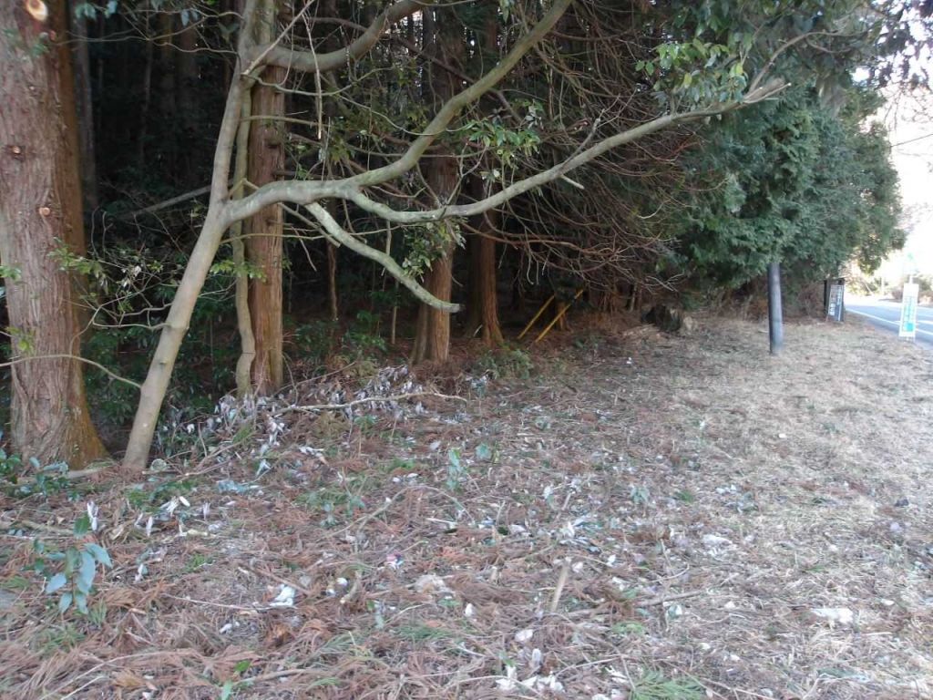 Vacant Land for Sale Near Kannon Bridge, Kiryu City, Gunma - Thumbnail 4