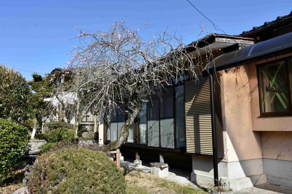 5LDK Used House for Sale in Uki City, Kumamoto with Large Land - Thumbnail 2