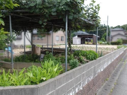 Vacant Land for Sale in Tainai, Niigata with Sunset Views - Thumbnail 2