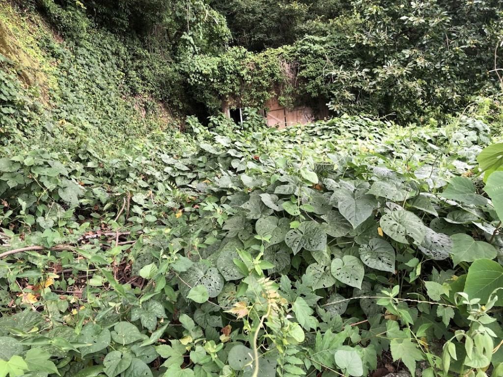 Seaside 5DK House for Sale in Uki City, Kumamoto with Ocean Views - Thumbnail 4