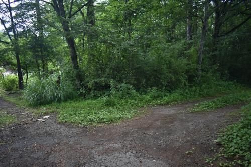 Vacant Land for Sale in Tsumagoi Village, Gunma - 527 sqm - Thumbnail 3