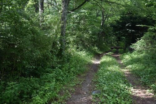 Vacant Land for Sale in Tsumagoi Village, Gunma - 527 sqm - Thumbnail 2