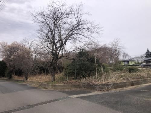 Vacant Land for Sale in Namie Town, Fukushima - 977.25 sqm Plot - Thumbnail 3