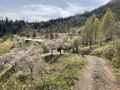 8DK Traditional House in Gujo, Gifu with Mountain Views - Thumbnail 4
