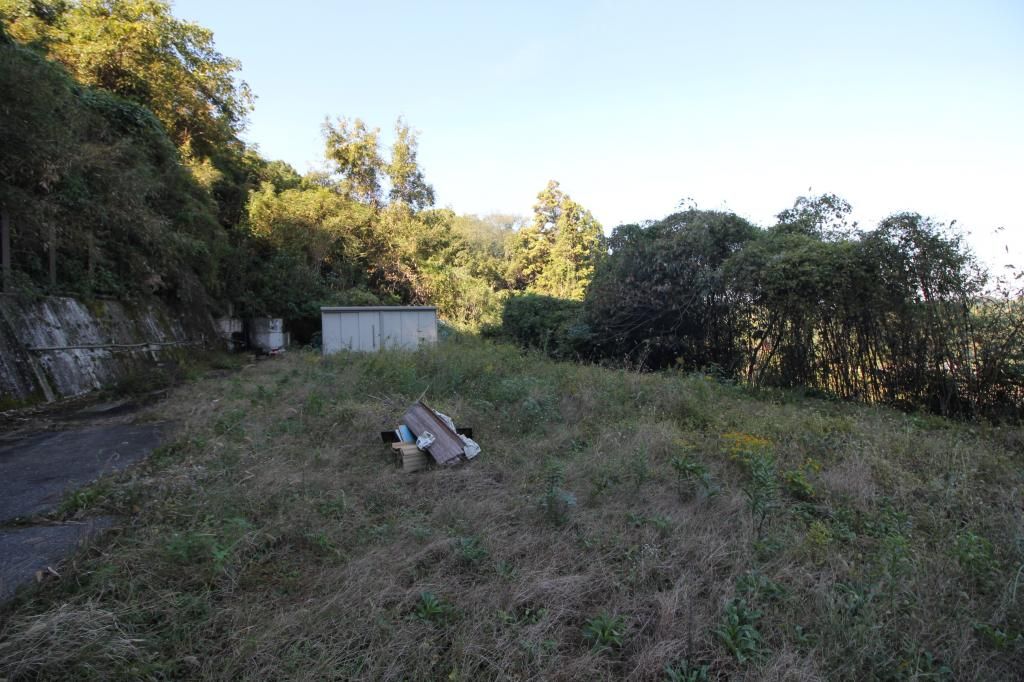 Vacant Land with Farmland & Mountain Views in Uto, Kumamoto - Thumbnail 4