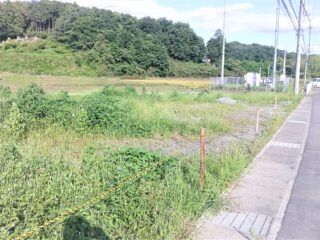 317.82 sqm Vacant Land Plot in Tochigi City, Tochigi - Thumbnail 4
