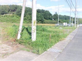 317.82 sqm Vacant Land Plot in Tochigi City, Tochigi - Thumbnail 2
