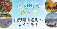 Shop & Home 7DK Property in Yamanobe Town, Yamagata - Thumbnail 4