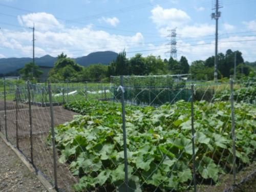 7DK Traditional House for Sale in Hino Town, Shiga - 343.8 sqm Land - Main Image