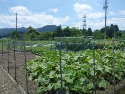 7DK Traditional House for Sale in Hino Town, Shiga - 343.8 sqm Land — Image 11, Hino, Shiga