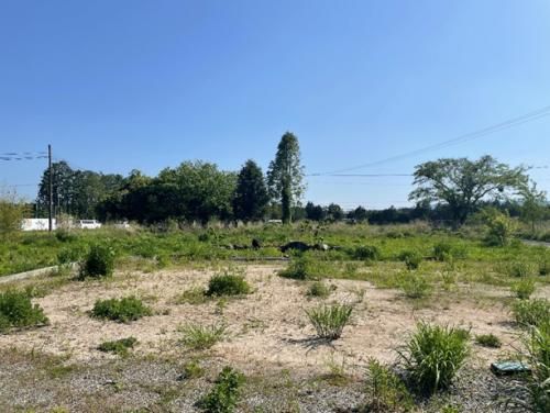 Large Development Land Plot in Ōkuma, Fukushima - 6687 sqm - Thumbnail 2