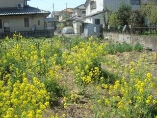 228.36 sqm Land for Sale Near Shin-Tochigi Station, Tochigi - Thumbnail 3