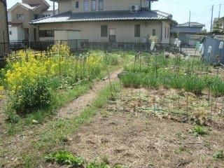 228.36 sqm Land for Sale Near Shin-Tochigi Station, Tochigi - Thumbnail 4