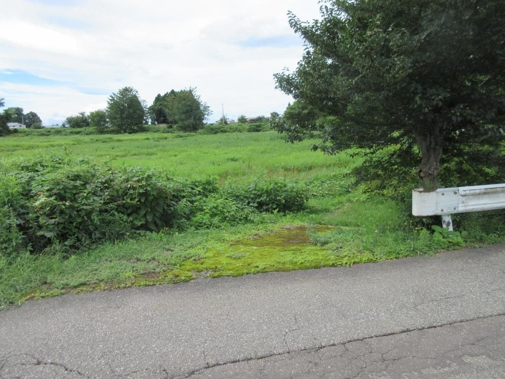 Large Vacant Land Plot in Misato Town, Akita - Negotiable Price - Thumbnail 4