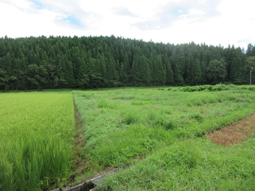 Large Vacant Land Plot in Misato Town, Akita - Negotiable Price - Thumbnail 2
