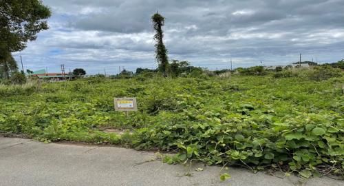 650 sqm Residential Land for Sale in Ōkuma, Fukushima - Thumbnail 2