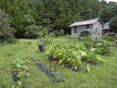 Traditional 6DK House for Sale in Chiran, Minamikyushu — Image 11, Minamikyushu, Kagoshima