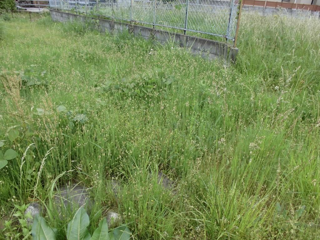 Vacant Land for Sale in Tateyama Town, Toyama - Near Enokimachi Station - Thumbnail 2