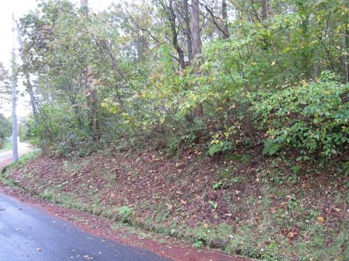 Vacant Land in Iizuna Nagano with Mountain Views - 999 sqm - Thumbnail 2