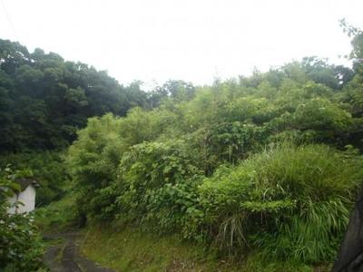 Vacant Land with Old House in Uki City, Kumamoto for 500,000 JPY — Land, Uki, Kumamoto