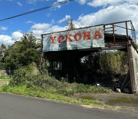 Vacant Land for Sale in Osaki Town, Kagoshima - 1000.44 sqm Plot - Thumbnail 2