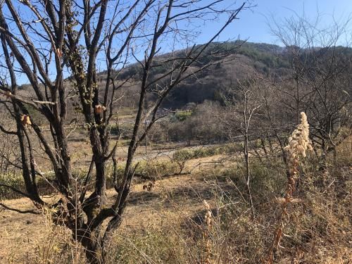 Vacant Land for Rent in Namie Town, Fukushima - 1312 sqm - Thumbnail 4