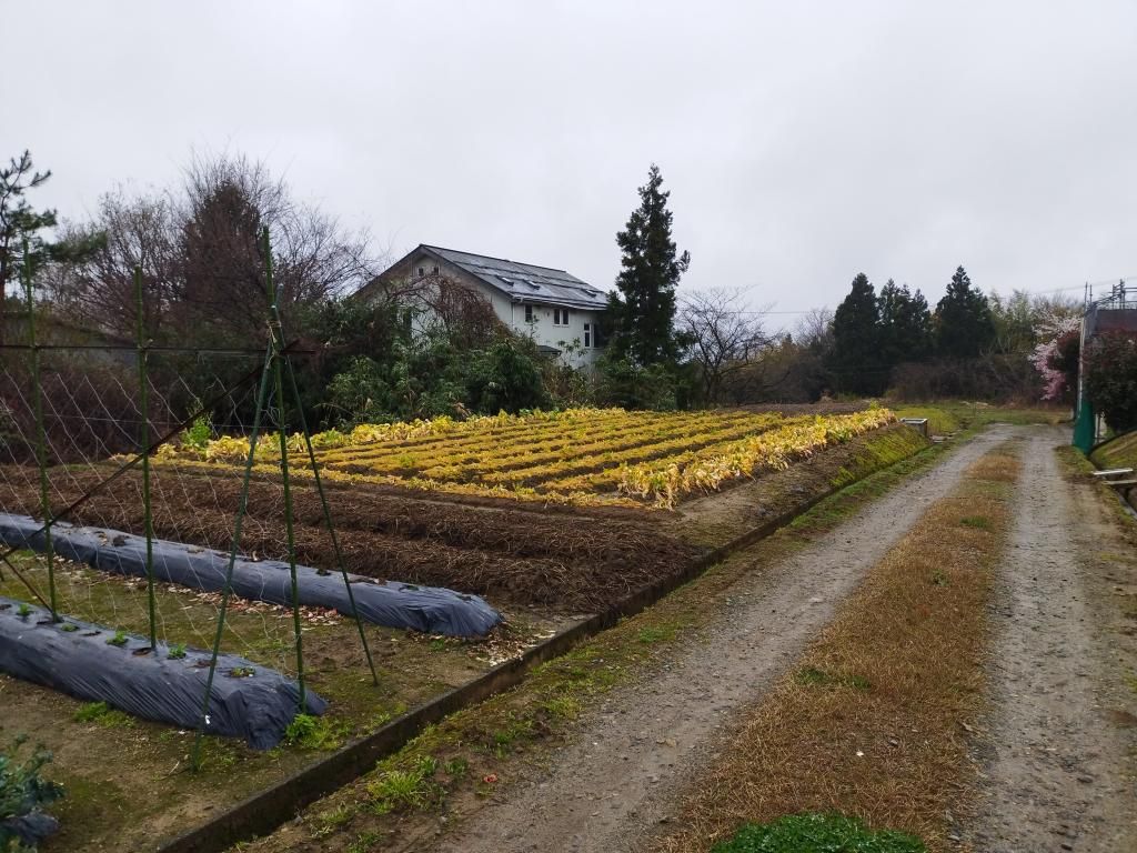 Vacant Farmland for Sale in Sanjo City, Niigata - Thumbnail 2