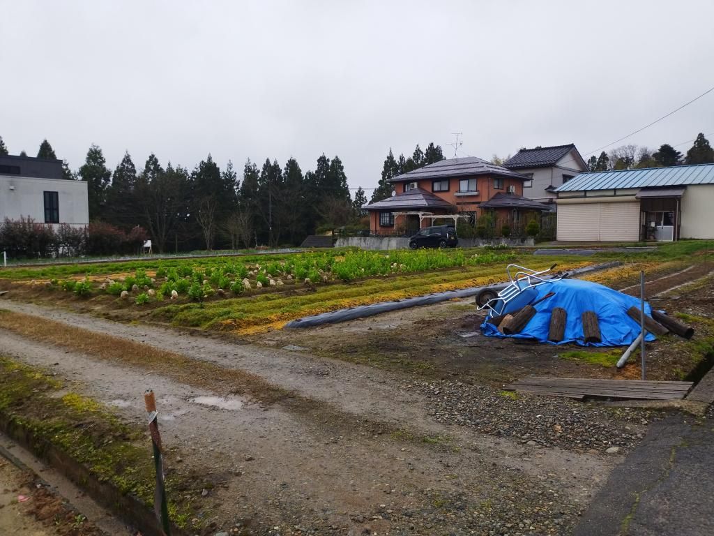 Vacant Farmland for Sale in Sanjo City, Niigata - Thumbnail 4