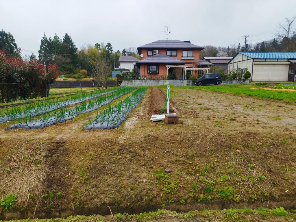 Vacant Farmland for Sale in Sanjo City, Niigata - Thumbnail 3
