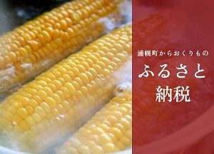 Vacant Land for Sale in Urahoro, Hokkaido - 347 sqm Plot - Thumbnail 4