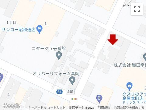 Vacant Land for Sale in Takaoka, Toyama - 156.79 sqm Corner Plot - Thumbnail 2