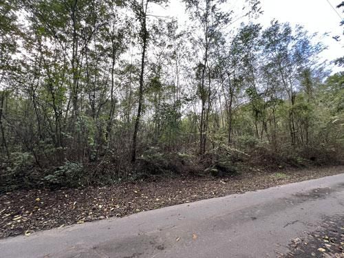1,923 sqm Vacant Land for Sale in Tsumagoi Village, Gunma - Thumbnail 3