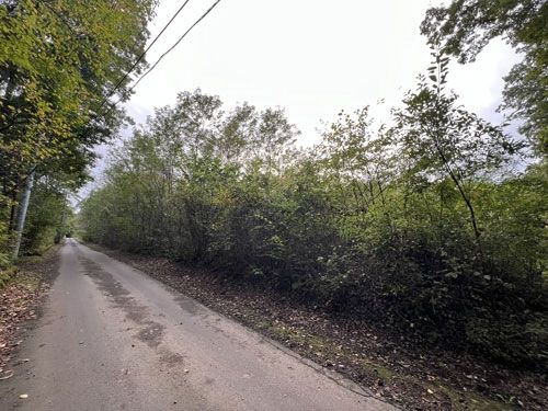 1,923 sqm Vacant Land for Sale in Tsumagoi Village, Gunma - Thumbnail 2