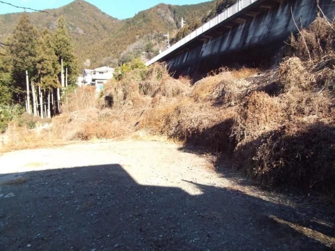 Large Forest Land Plot for Sale in Okutama, Tokyo - Thumbnail 3