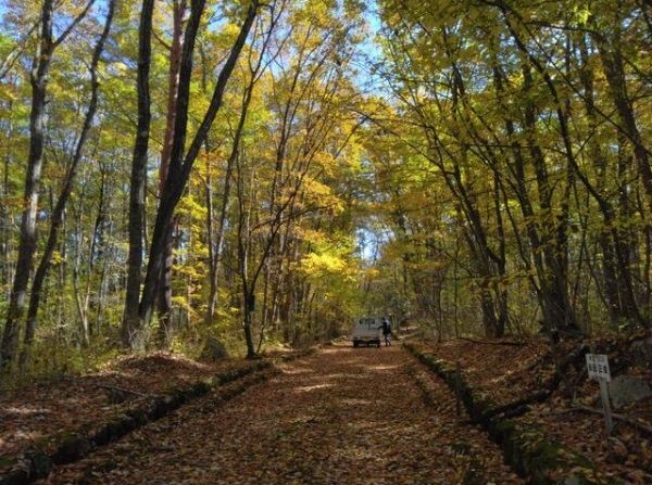 628 sqm Residential Land Plot in Tsumagoi Village, Gunma - Thumbnail 2