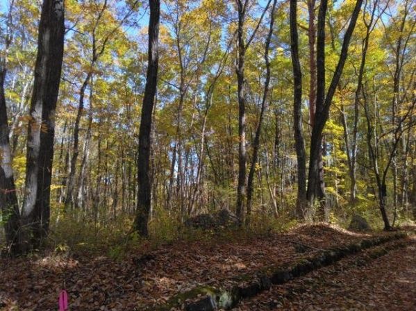 628 sqm Residential Land Plot in Tsumagoi Village, Gunma - Thumbnail 3