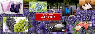 Spacious 7LDK House Near School in Misaki Town, Okayama — Image 4, Misaki, Okayama