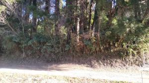 Corner Plot Land for Sale in Nagara Town, Chiba - 122m² — Land, Nagara, Chiba