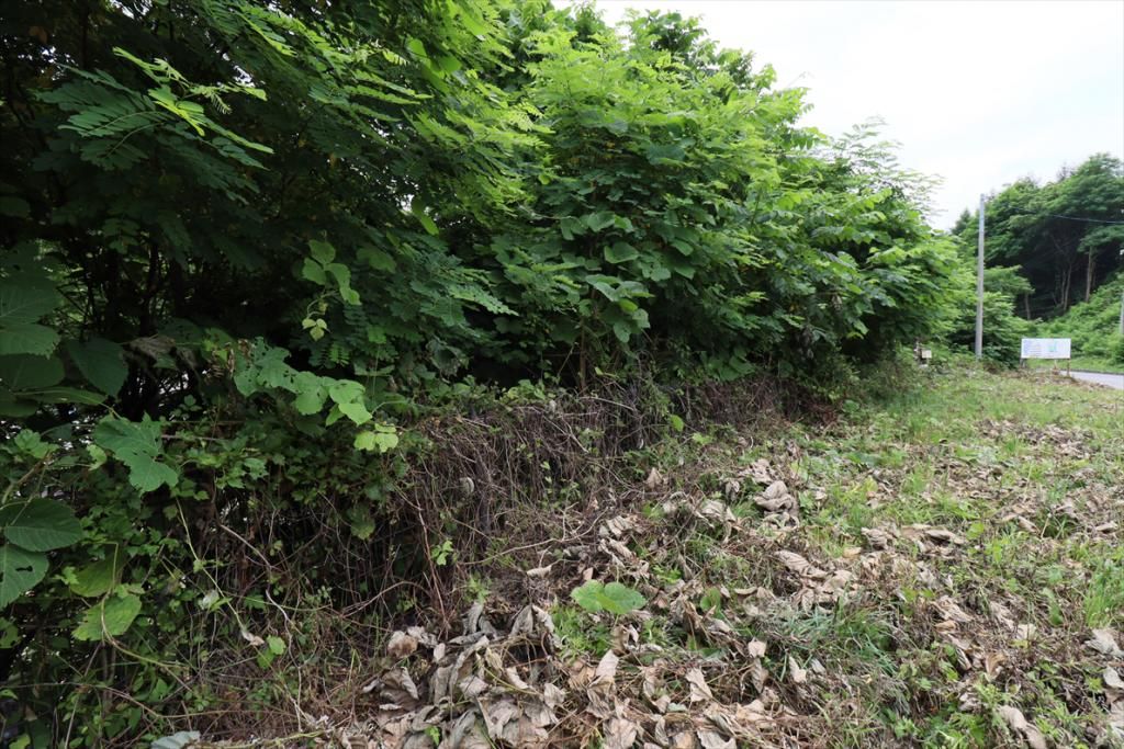 Lease Land in Iwaizumi, Iwate - 461.49 sqm Plot with Utilities - Thumbnail 4