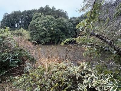 9DK House with Pond and Forest Land in Takeo, Saga — Image 11, Takeo, Saga