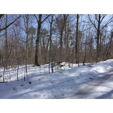 Vacant Residential Land for Sale in Tsumagoi Village, Gunma - Thumbnail 4