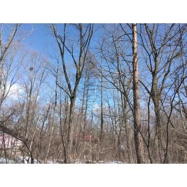 Vacant Residential Land for Sale in Tsumagoi Village, Gunma - Thumbnail 3