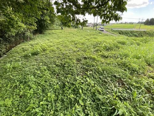 800 sqm Vacant Land for Sale in Tateyama Town, Toyama - Thumbnail 2