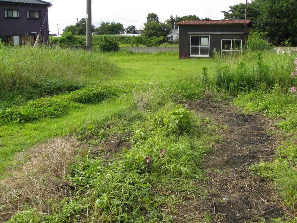 643 sqm Land for Sale in Quiet Tochigi City Residential Area - Thumbnail 3
