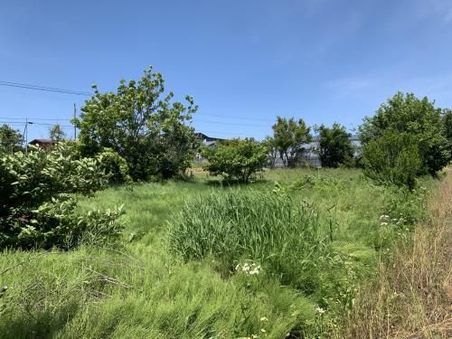 Spacious 7K House with Rice Field Views in Tsugaru, Aomori - Thumbnail 2