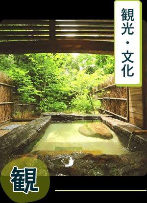 2LDK House with Hot Spring Access in Satsuma Town — Image 1, Satsuma, Kagoshima