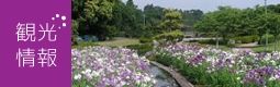 Vacant Land for Sale in Osaki Town, Kagoshima - 773.6 sqm Plot - Thumbnail 2