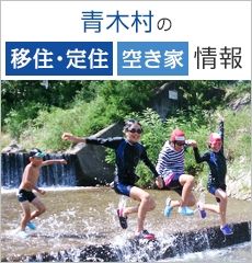 Spacious 2LDK House with Large Land in Aoki Village, Nagano - Thumbnail 4